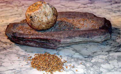 اكتشاف أقدم رغيف خبز في العالم  في الأردن عمره 14 ألف سنة