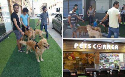  أول كافيه للكلاب في مصر "Pets Corner" في إسكندرية